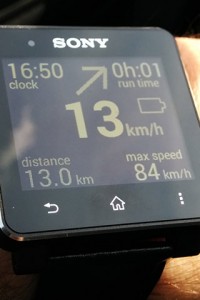 Full speedometer widget, displays all data and takes up the whole screen area.